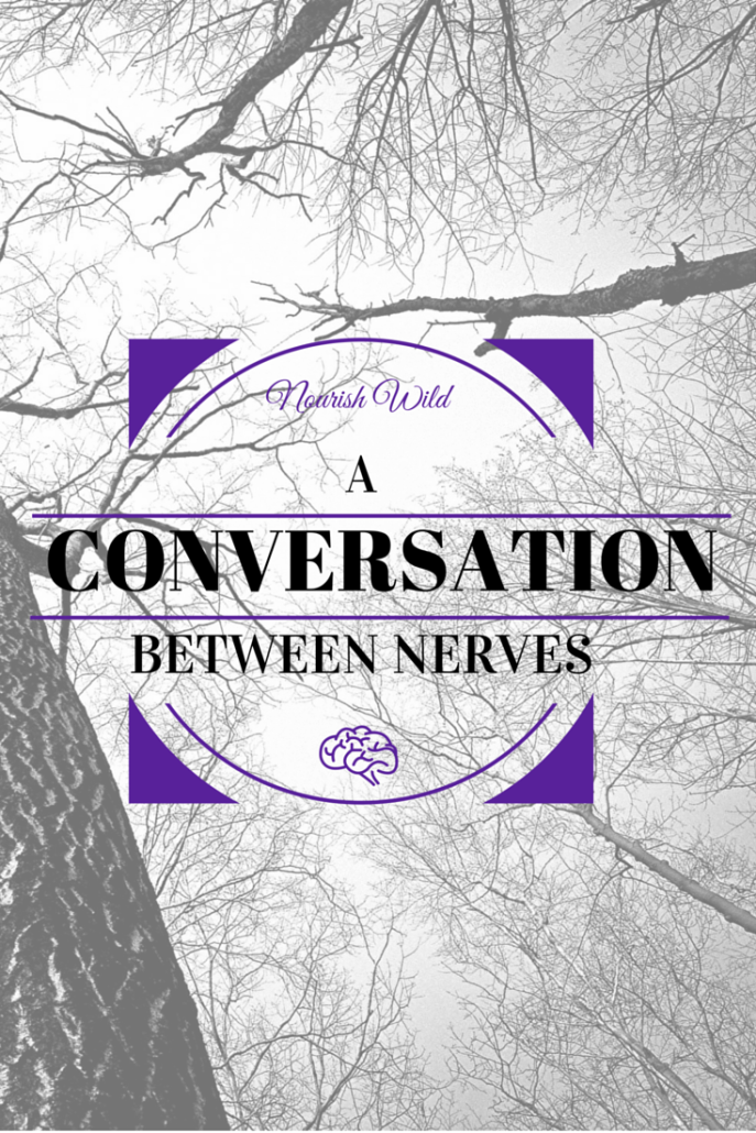 A Conversation Between Nerves: How your nervous system plays a role in your health